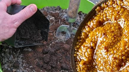 ieklerin dibindeki bceklere, sineklere kesin zm: 1 dilim yetiyor! Ne koku ne sinek kalyor