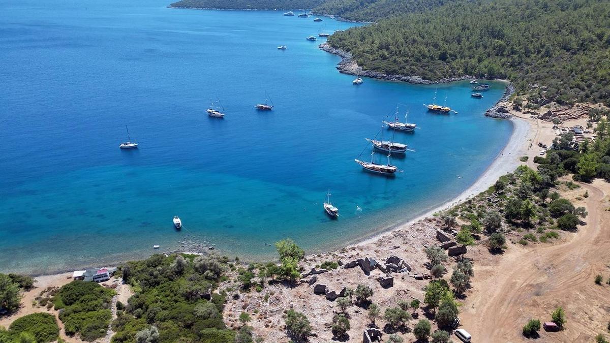 Mula'da tepki eken grntler... Bakanlk harekete geti