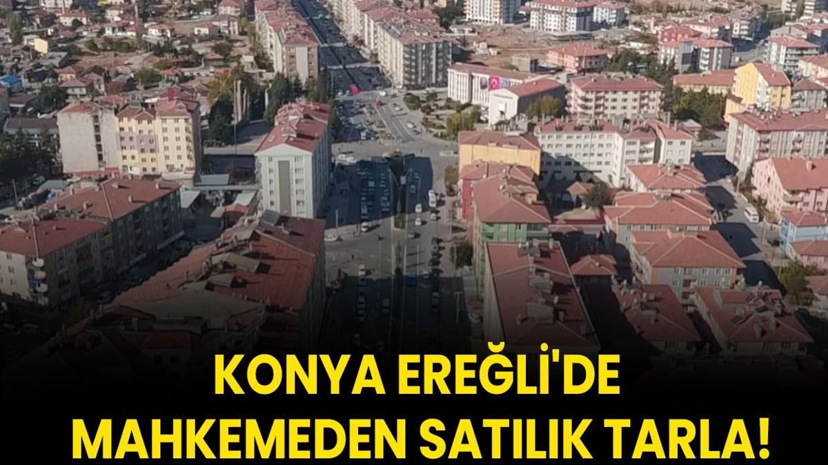 Konya Ereli'de mahkemeden satlk tarla!