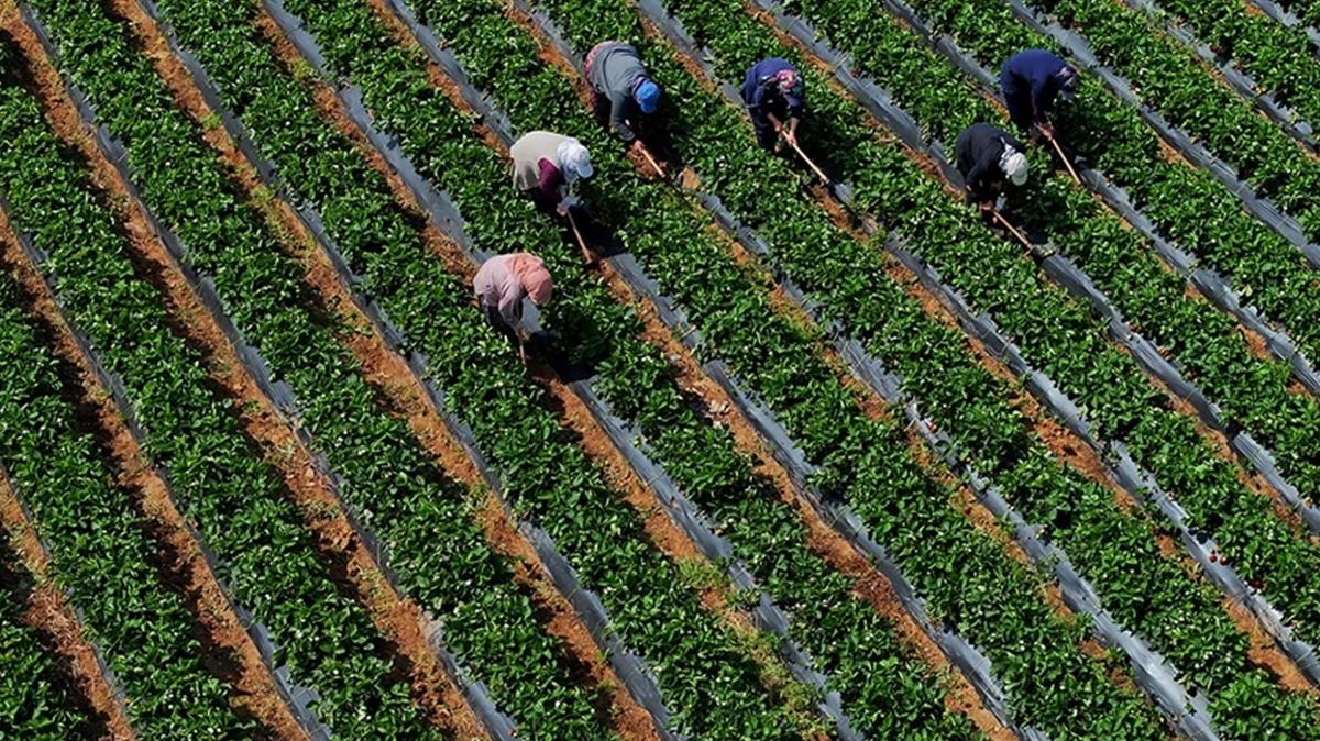 iftilere 262 milyon 660 bin liralk destek demesi