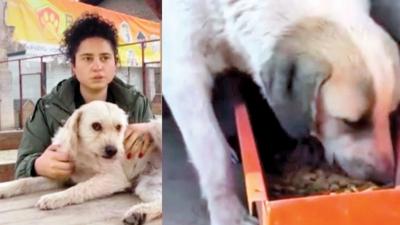 25 milyon TL'lik pati'li vurgun! Toplanan yardmlar hesaplarna geirdiler