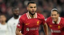 Bayern Mnih, Cody Gakpo'yu istiyor