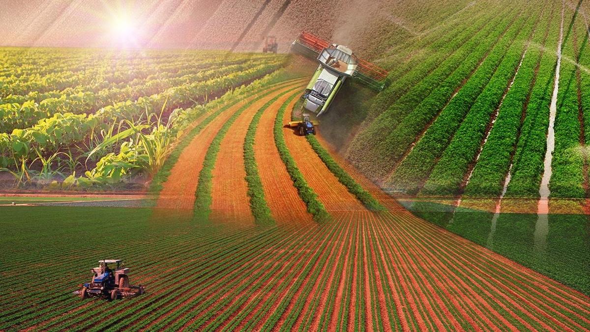 tarm saym hayvanclk verileri toplanacak veriler fotoraflar resimleri