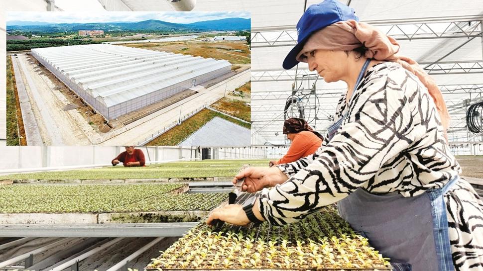 Sera OSB'den ekonomiye 750 milyon lira katk