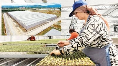 Sera OSB'den ekonomiye 750 milyon lira katk