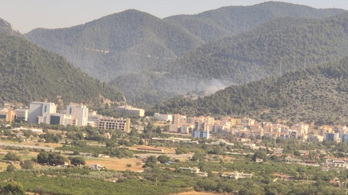 orman yangn  mdahale  Narldere fotoraflar resimleri