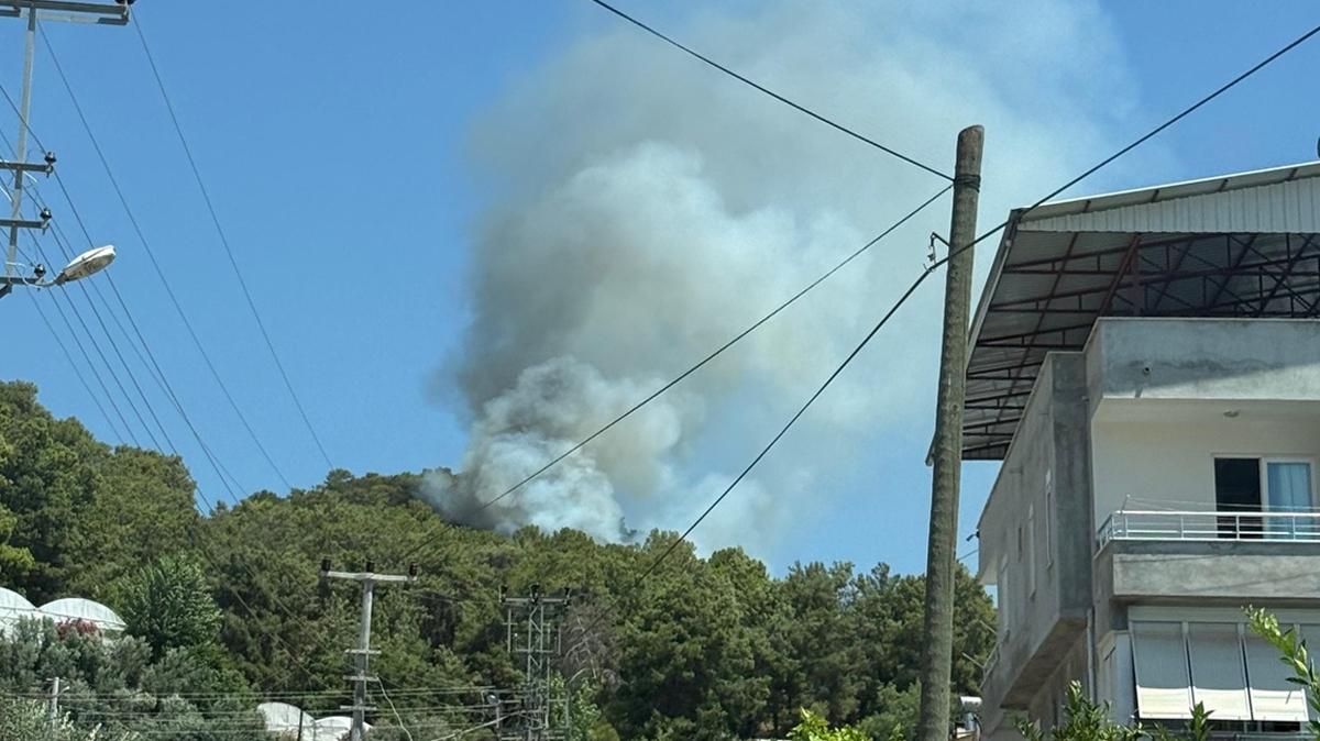 Havadan ve karadan mdahale sonu verdi! Antalya'daki yangn kontrol altnda
