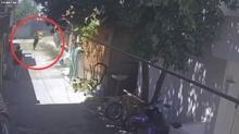 Amcas hem Deniz'i hem hayallerini yakt! O anlar kamerada