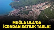 Mula Ula'da icradan satlk tarla!
