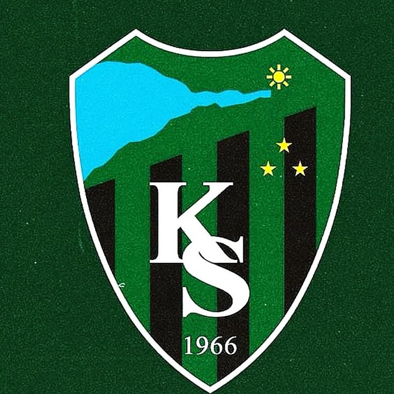 Kocaelispor'da yaprak dkm