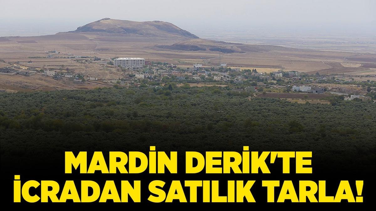 Mardin Derik'te icradan satlk tarla!