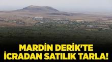 Mardin Derik'te icradan satlk tarla!