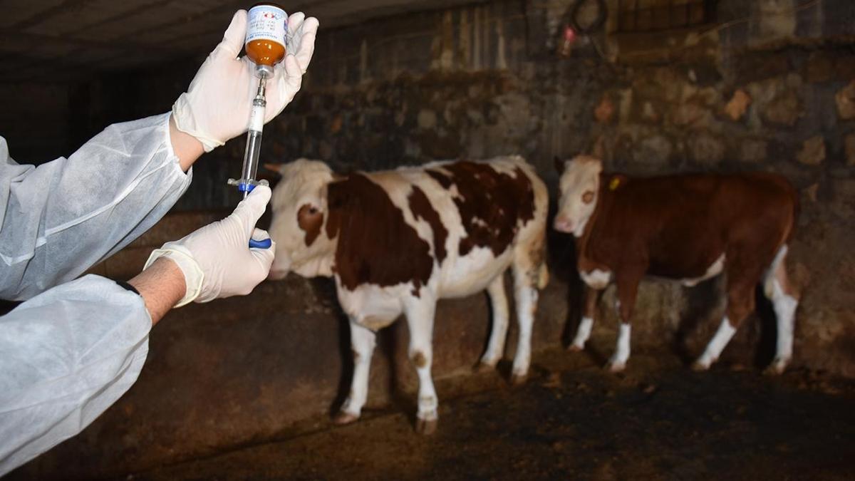 Bakanlktan ap aklamas: Mevcut stoklar sreci karlayacak dzeyde