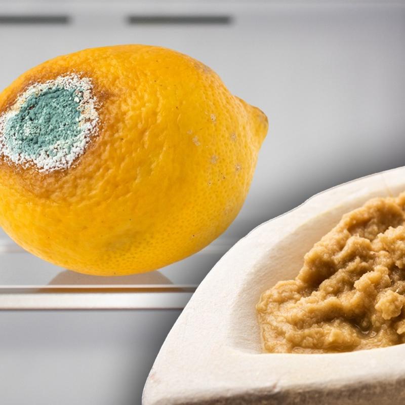 Kflenen limon derdine son! Buzdolabnda yanna koymak yetiyor: Haftalarca taze kalyor, rmyor