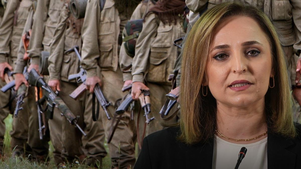 Terrsz Trkiye'ye adm adm! DEM Parti, terr rgt PKK'nn silah brakmasna ilikin tarih verdi