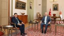 TBMM Bakan Kurtulmu, Kaya'y kabul etti