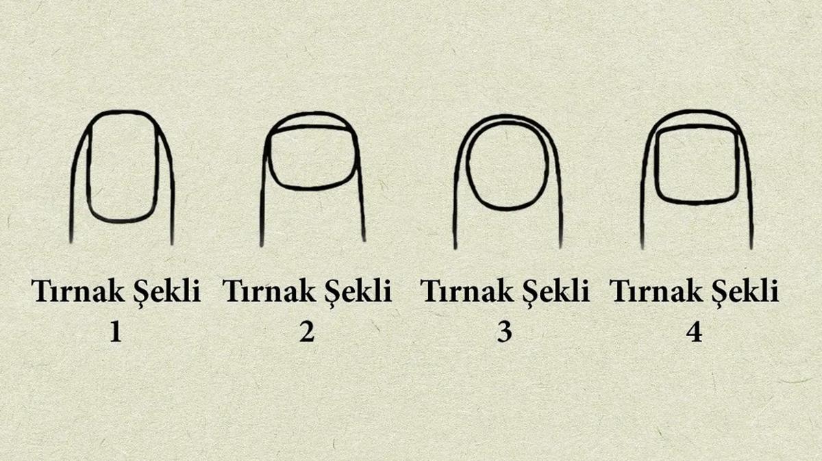 Kiilik testi: Nasl bir lider olursun" Trnan se ve sonucu gr...