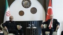 Bakan Erdoan, Azerbaycan'da Pezekiyan ile grt