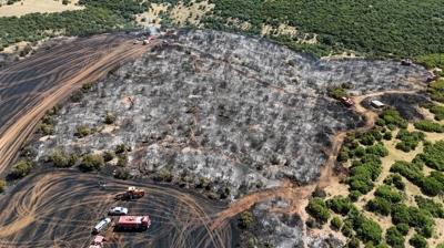 50 hektarlk alan yok ettiler: 2 karde tutukland