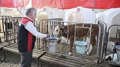 zmir'deki yangndan tahliye edilen hayvanlara zenle bakyorlar