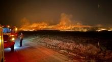 California'daki yangnda 29 bin hektar alan yand