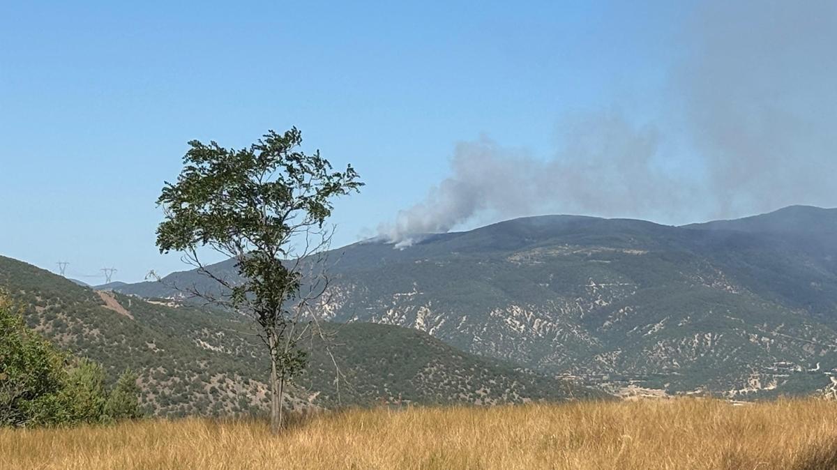 ankr'da orman yangn: Ekipler mdahale ediyor