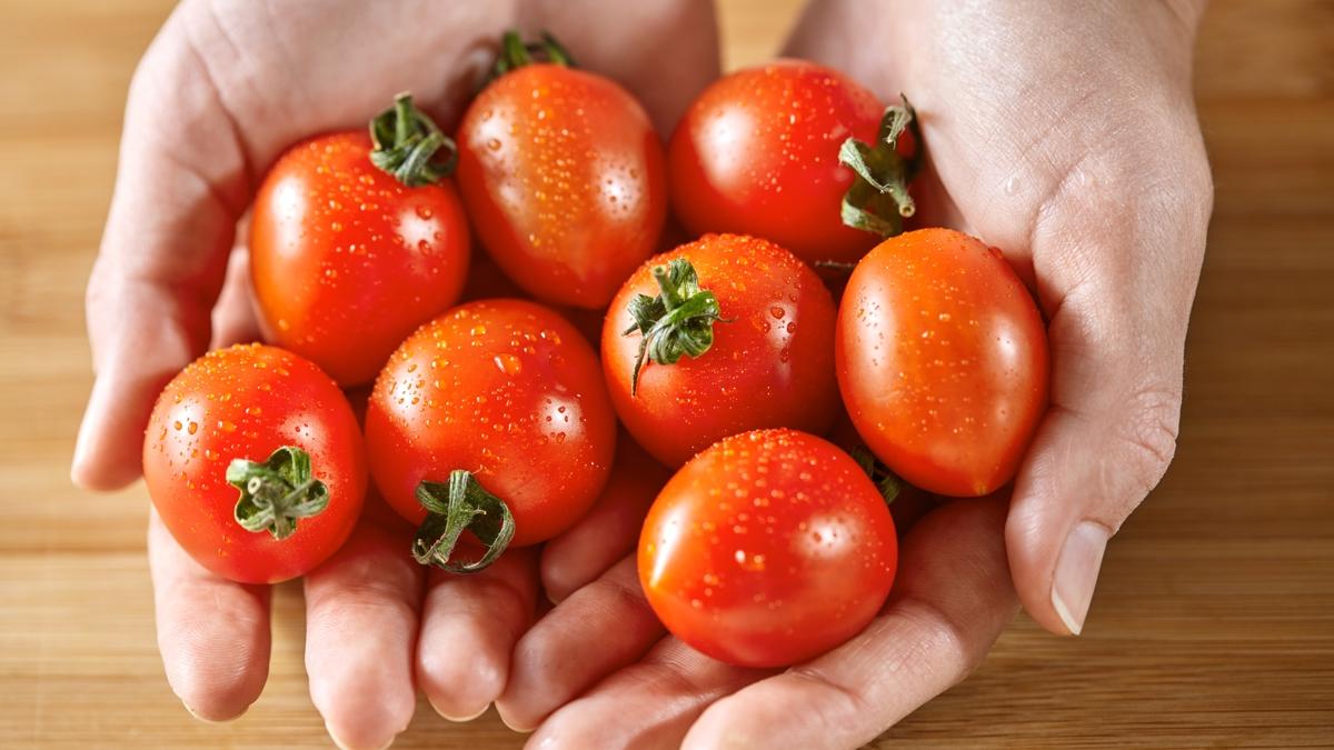 Yaz domatesi nasl dondurulur" ster kabuklu koyun, ister rendeleyin