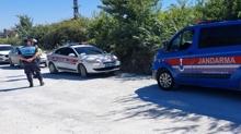 Antalya'da aslan panii: Hayvan park mhrlendi