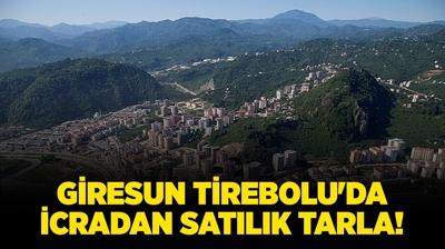 Giresun Tirebolu'da icradan satlk tarla!