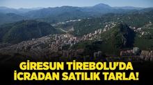 Giresun Tirebolu'da icradan satlk tarla!