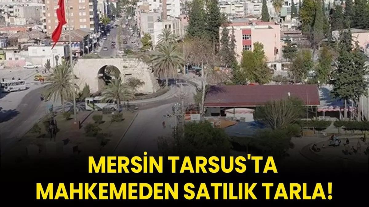 Mersin Tarsus'ta mahkemeden satlk tarla!
