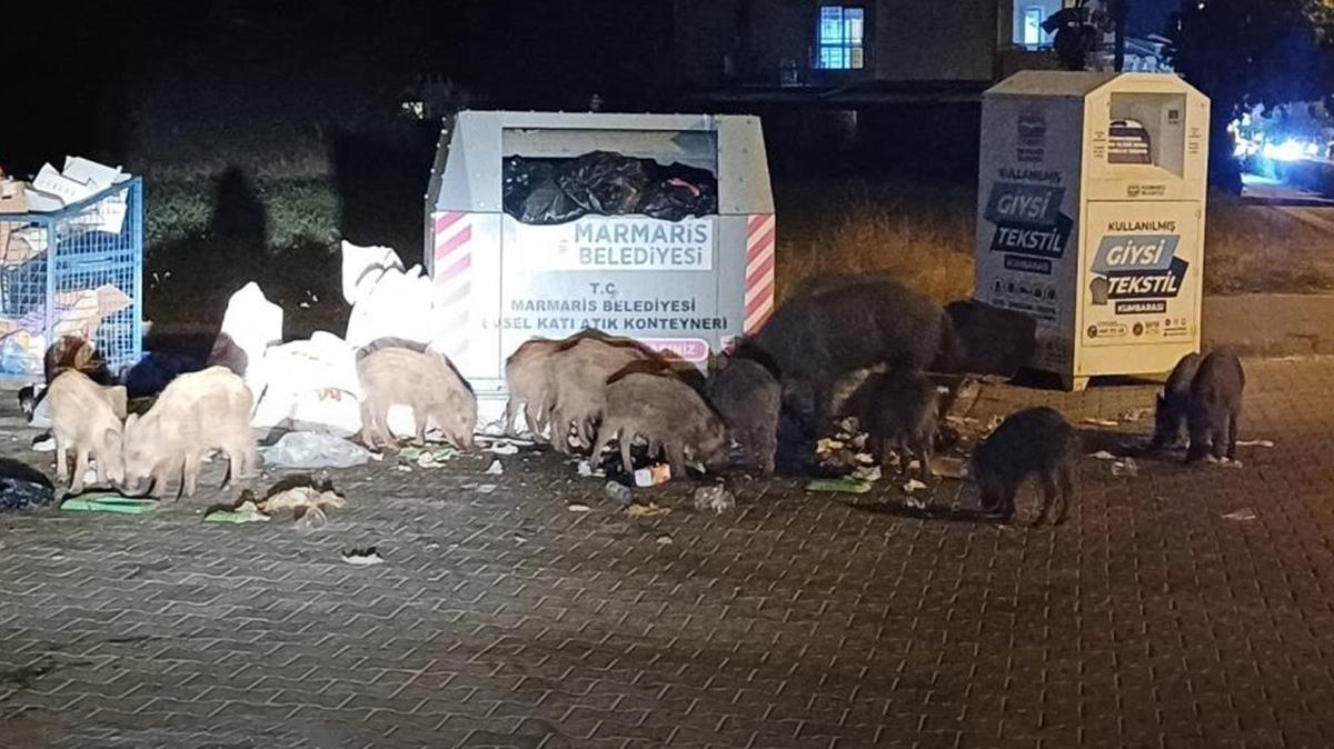 Sokaklar domuz iftliine dnd! Vatanda CHP'li belediyeyi greve ard