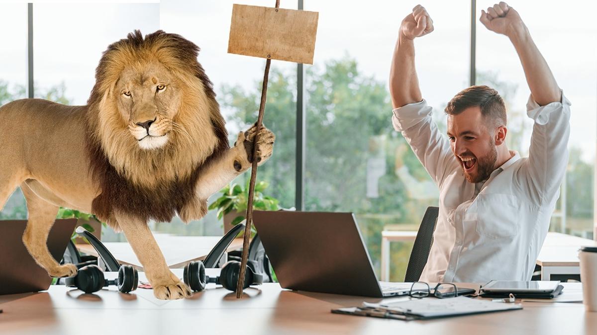 Aslan burcunu kariyerde zirveye tayan 5 zellik