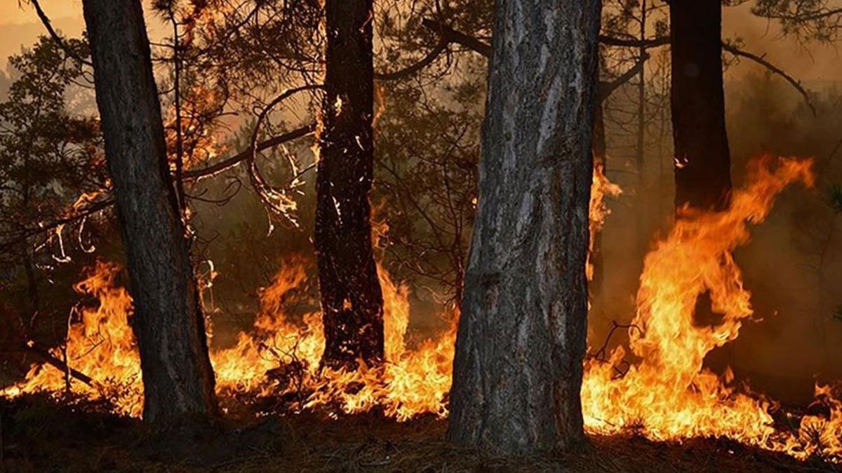 Kastamonu iin yksek scaklk ve orman yangn uyars