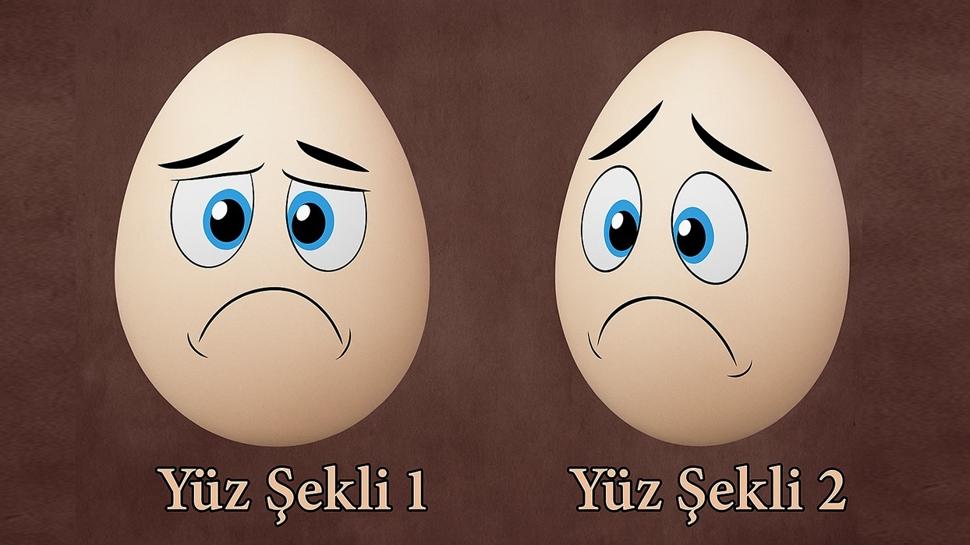 Kiilik testi: Stresli olan se, lider misin ren! Tek soru tek cevap