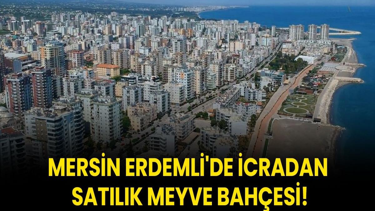 Mersin Erdemli'de icradan satlk meyve bahesi!
