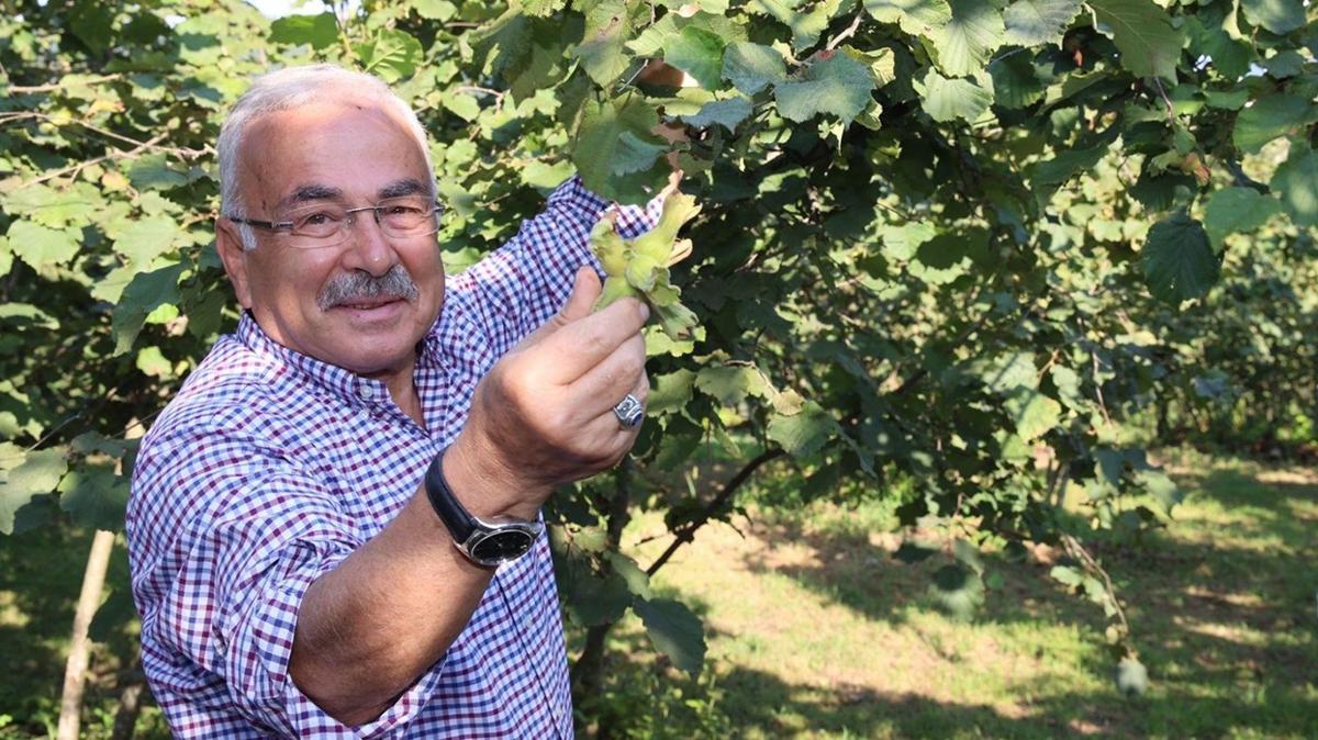 Ordu Bykehir Belediye Bakan Gler, fndk iin savayor