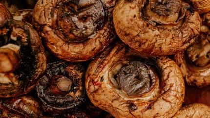 Etten 25 kat fazla protein ieriyor, vcuda D vitamini depoluyor! Tad resmen etle yaryor