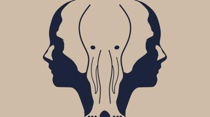 Kiilik testi: Resimde ilk ne grdn? Bilge misin yoksa lider mi tek bakta ren