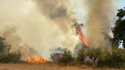 anakkale'de yeni orman yangn! Mdahaleler sonu verdi