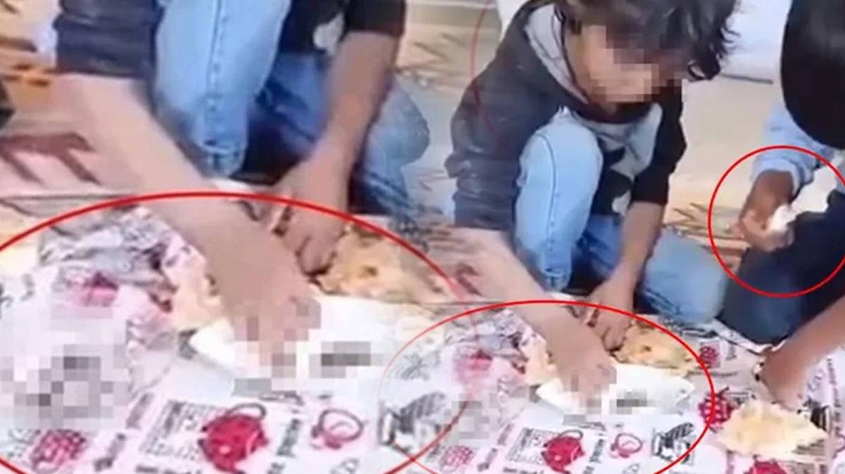 Diyarbakr'da "kardelerine hayvan dks yedirdi" iddiasyla gzaltna alnmt: vey aabey hakknda karar
