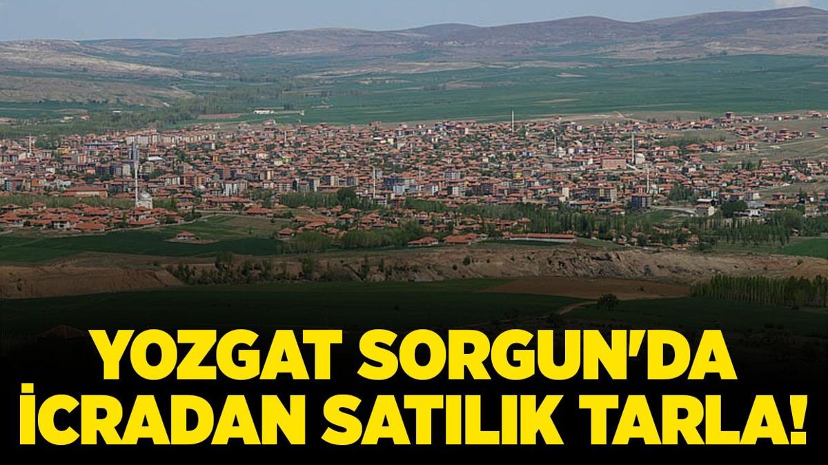 Yozgat Sorgun'da icradan satlk tarla!