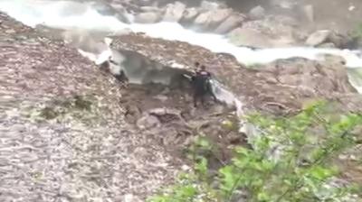 Galer Dz Yaylas'nda kar ktlesi kt: Bir kii aranyor