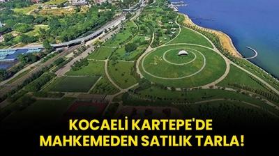 Kocaeli Kartepe'de mahkemeden satlk tarla!