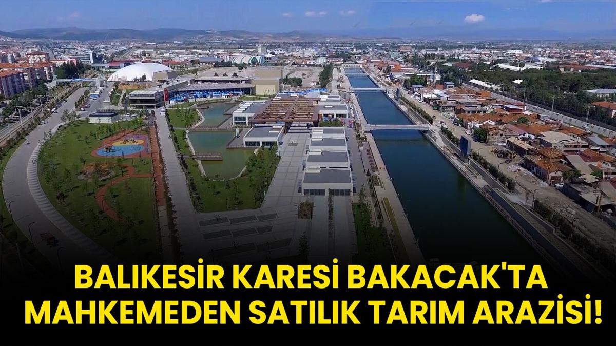 Balkesir Karesi Bakacak'ta mahkemeden satlk tarm arazisi!
