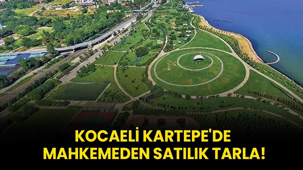 Kocaeli Kartepe'de mahkemeden satlk tarla!