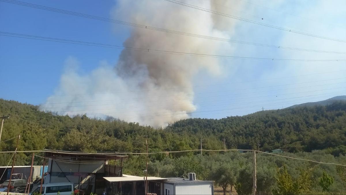 Manisa'da orman yangn! Helikopter ve kara ekipleri sevk edildi
