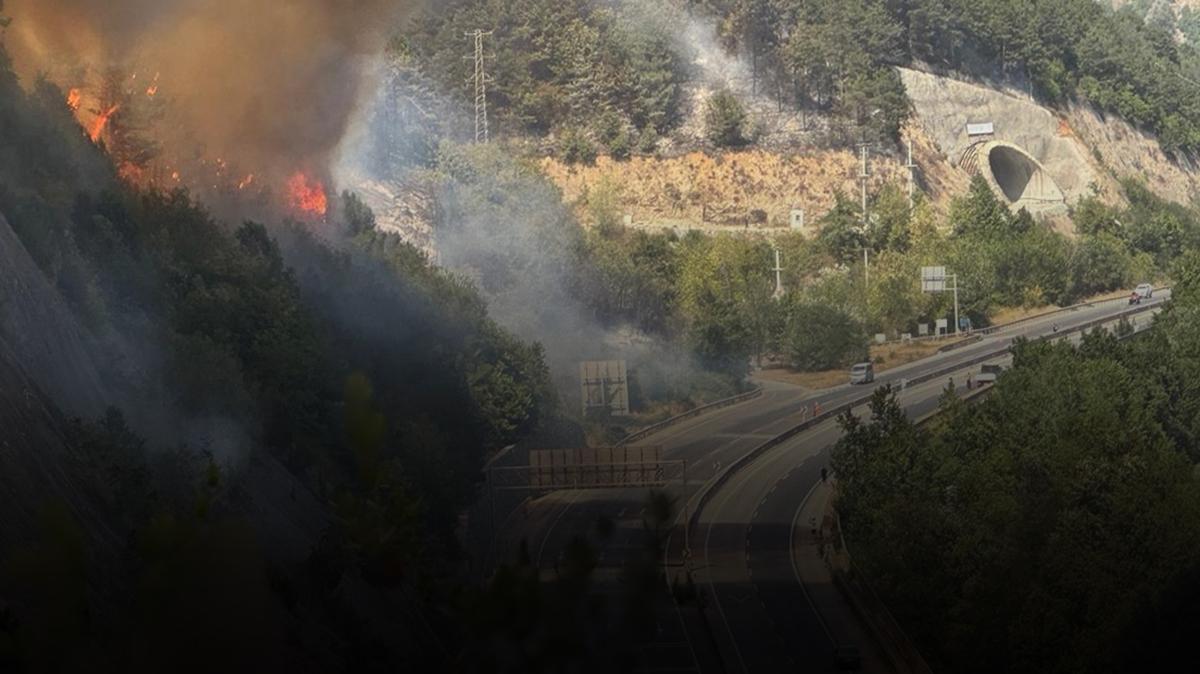 Trkiye alevlerle mcadele ediyor! D-650'de  trafik ak kontroll salanyor