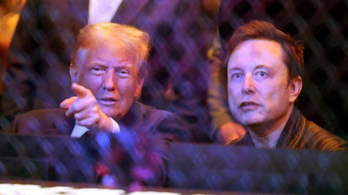 Donald Trump Elon Musk iddialar fotoraflar resimleri