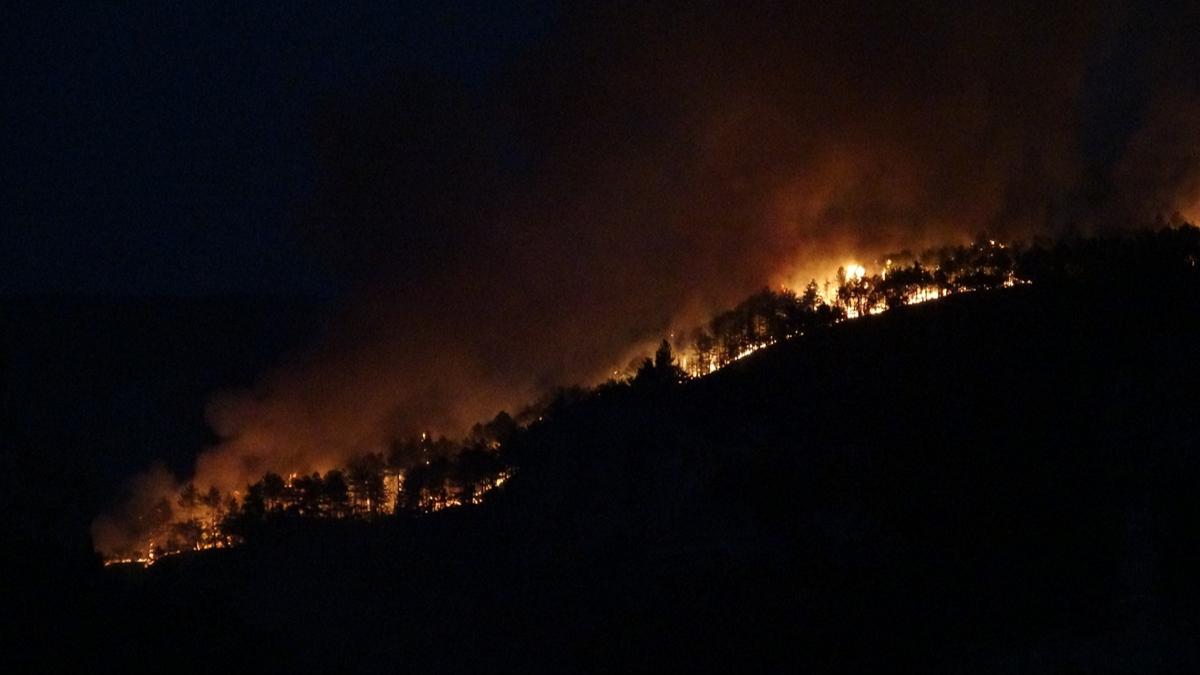 Orman Yangn tfaiye Bilecik Bolu zmir fotoraflar resimleri